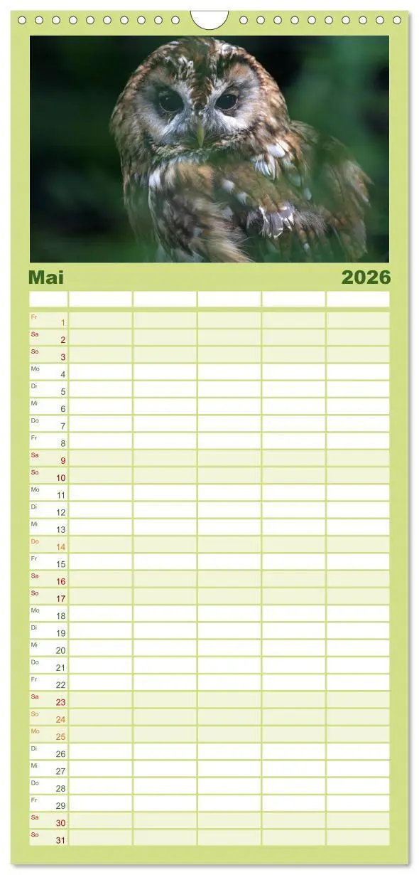 Bild: 9783516519181 | Familienplaner 2026 - Eulen mit 5 Spalten (Wandkalender, 21 x 45...