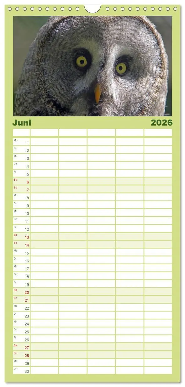 Bild: 9783516519181 | Familienplaner 2026 - Eulen mit 5 Spalten (Wandkalender, 21 x 45...