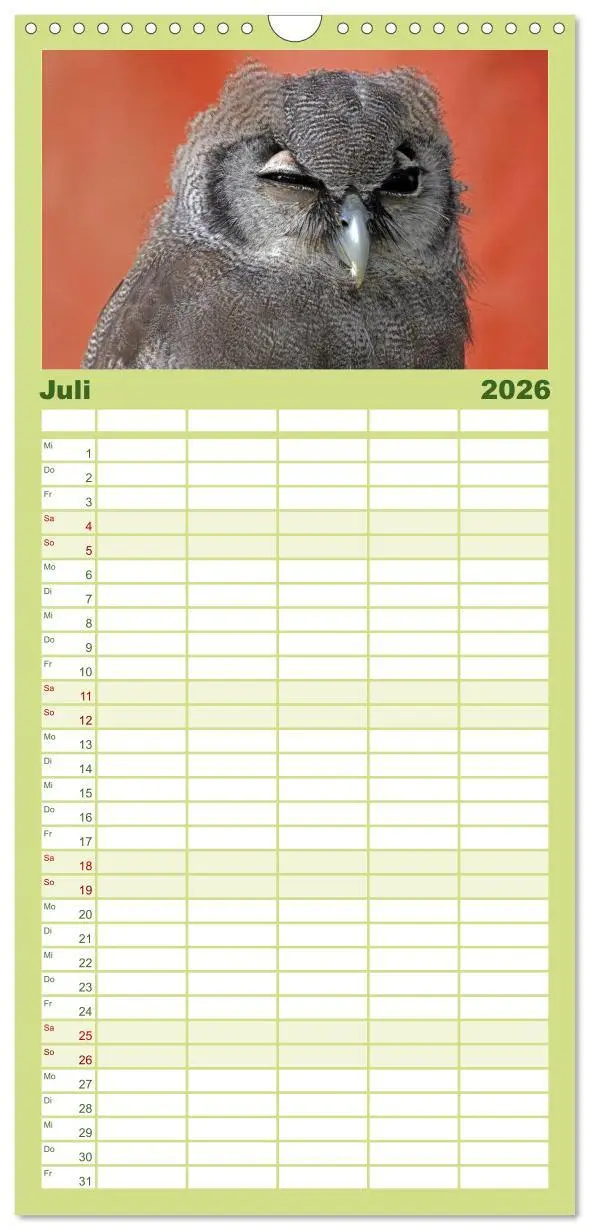 Bild: 9783516519181 | Familienplaner 2026 - Eulen mit 5 Spalten (Wandkalender, 21 x 45...