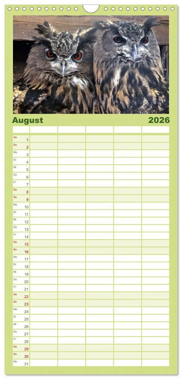 Bild: 9783516519181 | Familienplaner 2026 - Eulen mit 5 Spalten (Wandkalender, 21 x 45...