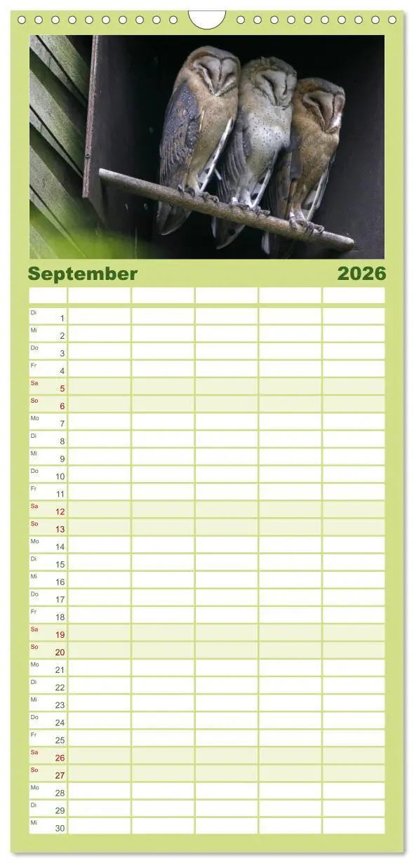 Bild: 9783516519181 | Familienplaner 2026 - Eulen mit 5 Spalten (Wandkalender, 21 x 45...