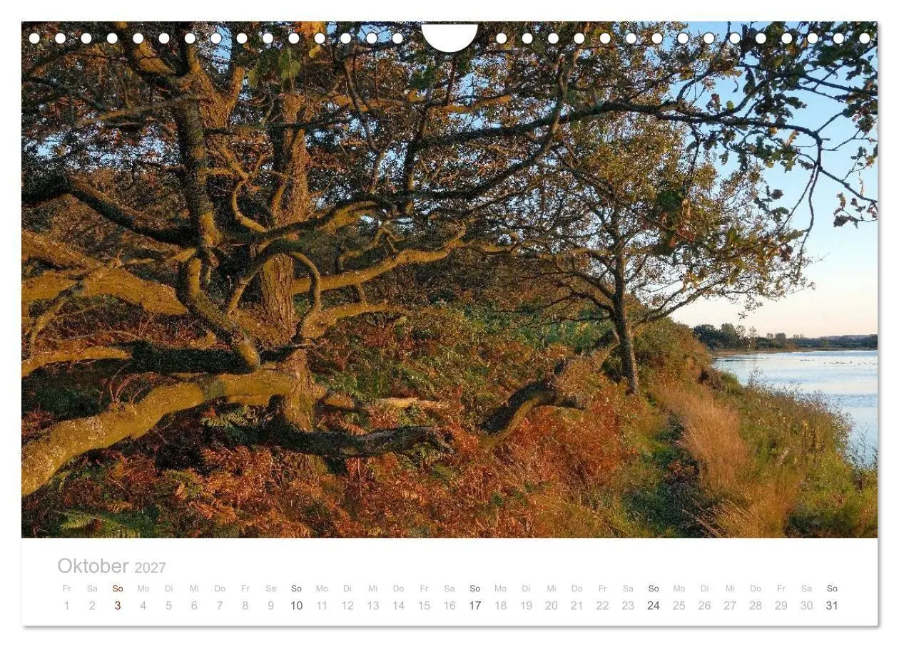 Bild: 9783594049181 | Zauberhafte Schlei (Wandkalender 2027 DIN A4 quer), CALVENDO...