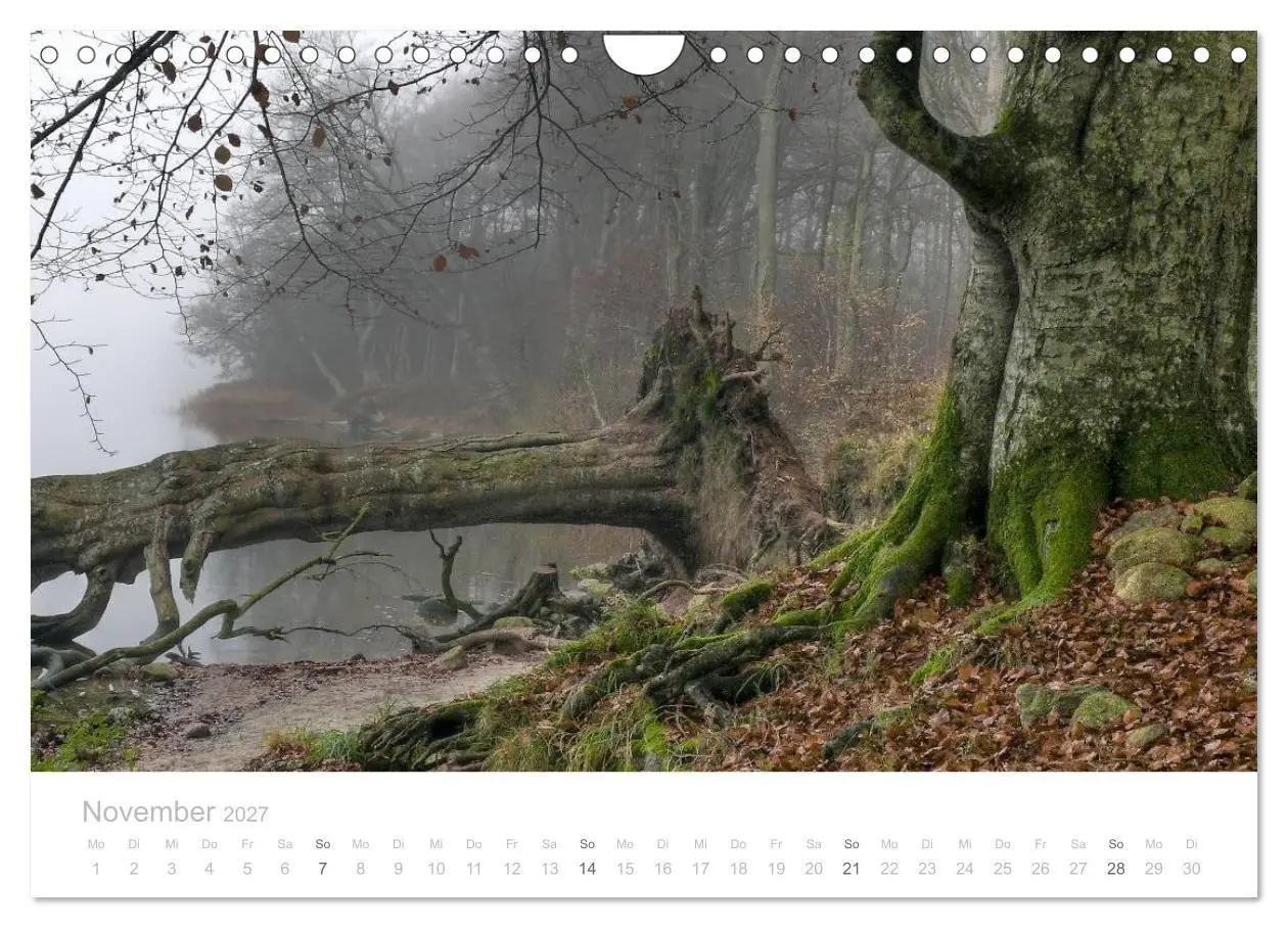 Bild: 9783594049181 | Zauberhafte Schlei (Wandkalender 2027 DIN A4 quer), CALVENDO...
