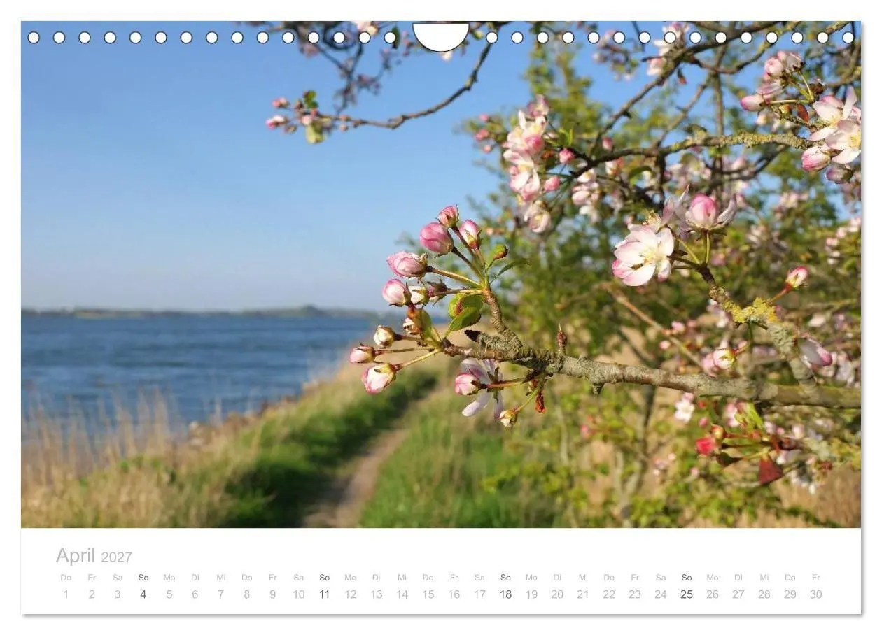 Bild: 9783594049181 | Zauberhafte Schlei (Wandkalender 2027 DIN A4 quer), CALVENDO...
