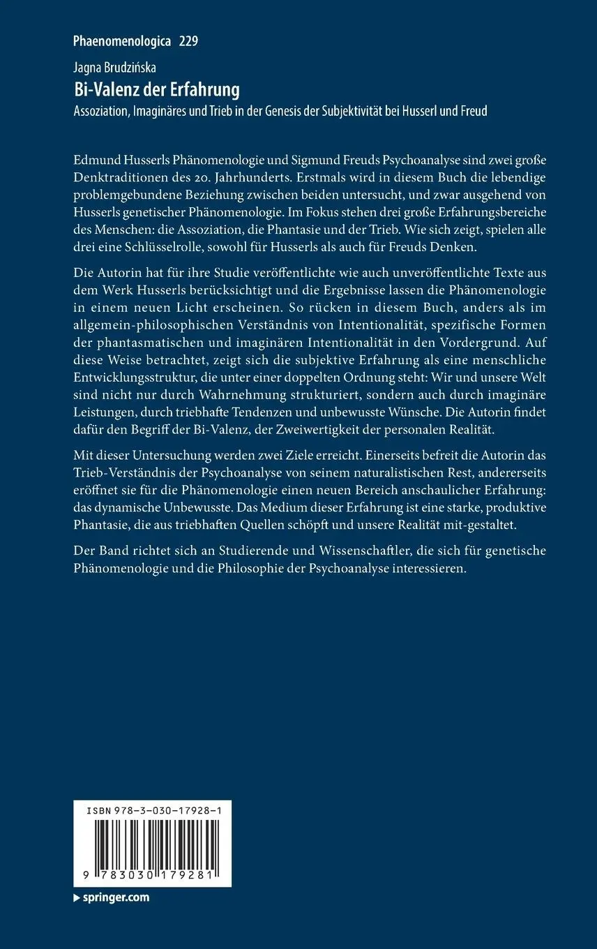 Rückseite: 9783030179281 | Bi-Valenz der Erfahrung | Jagna Brudzi¿ska | Buch | ix | Deutsch