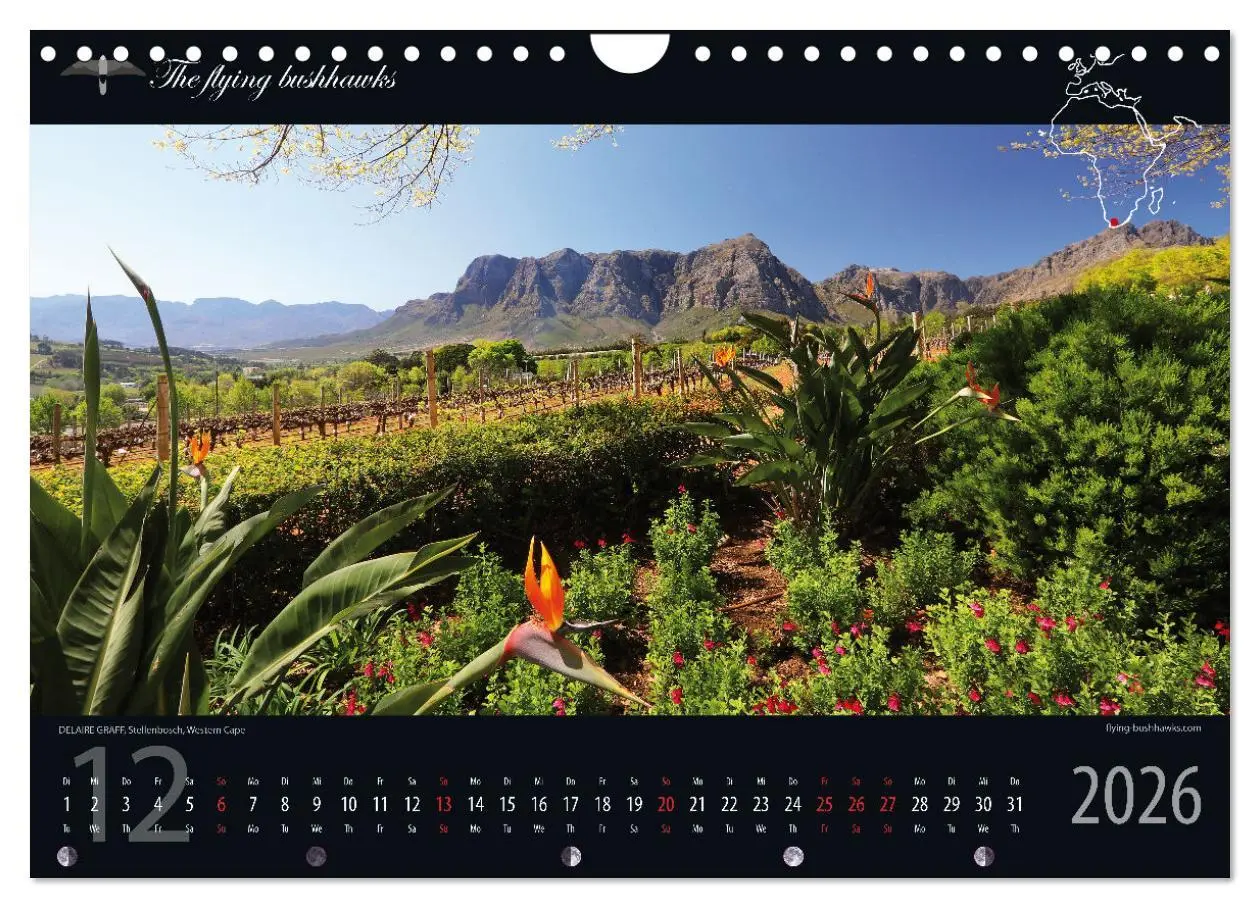Bild: 9783457279281 | Wein &amp; Architektur 2026 (Wandkalender 2026 DIN A4 quer), CALVENDO...
