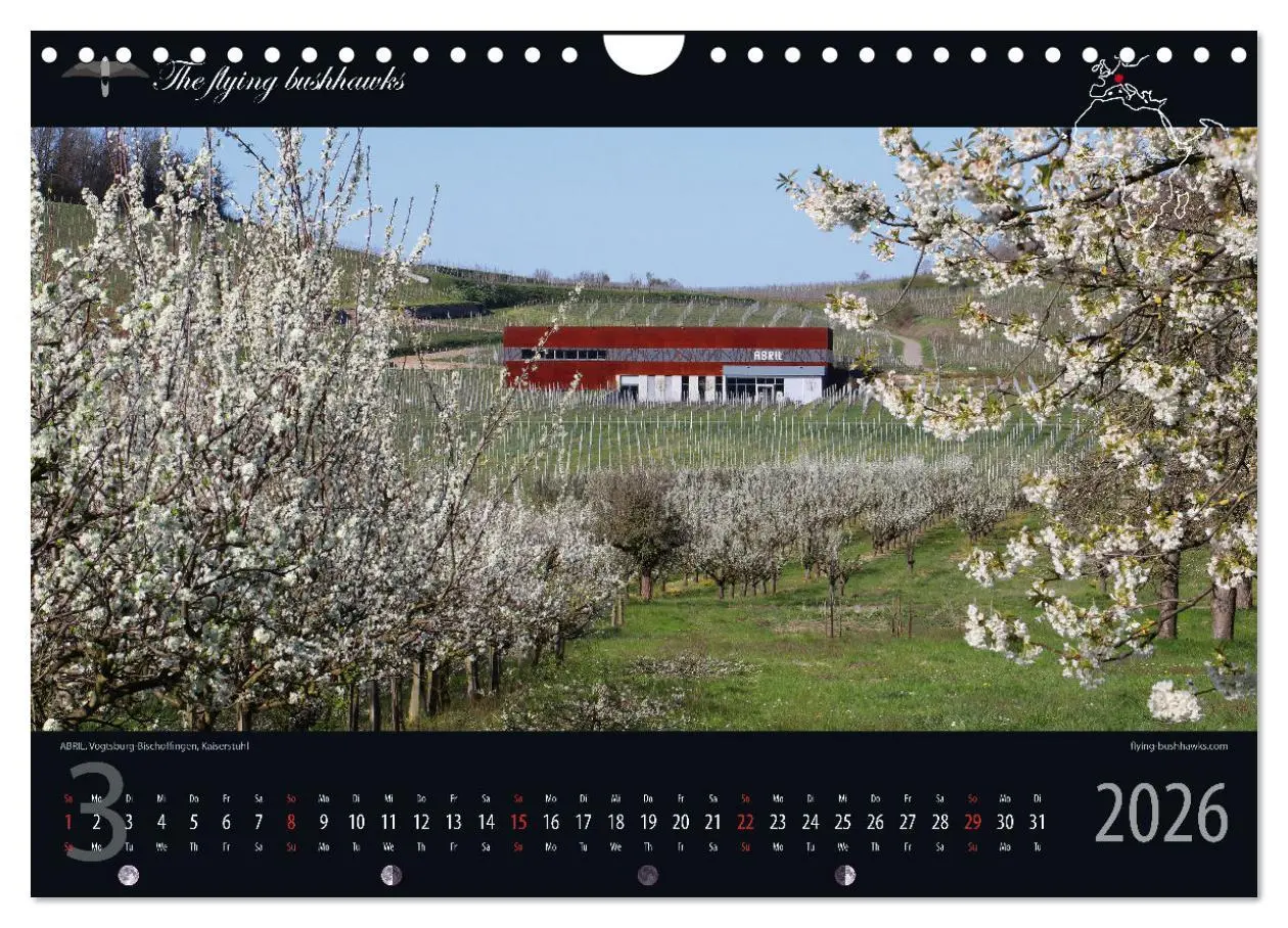 Bild: 9783457279281 | Wein &amp; Architektur 2026 (Wandkalender 2026 DIN A4 quer), CALVENDO...