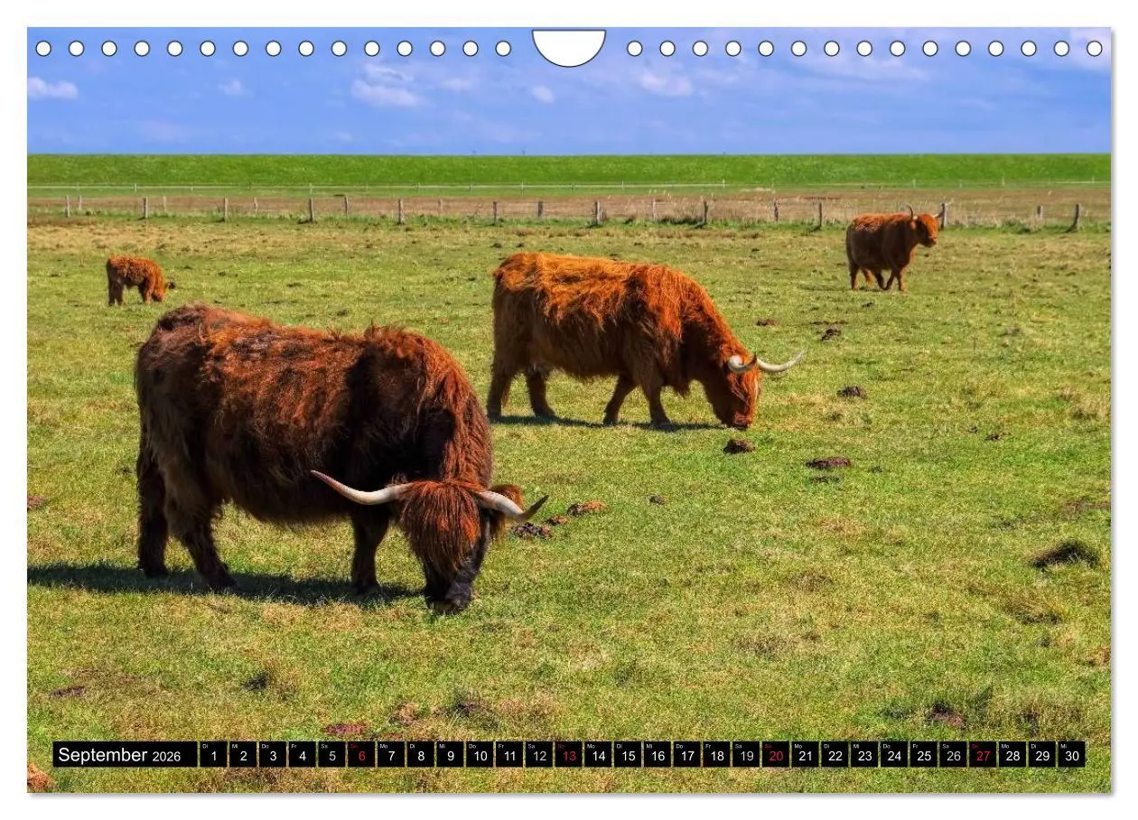 Bild: 9783516059281 | Langeoog - Schönste Insel Ostfrieslands (Wandkalender 2026 DIN A4...