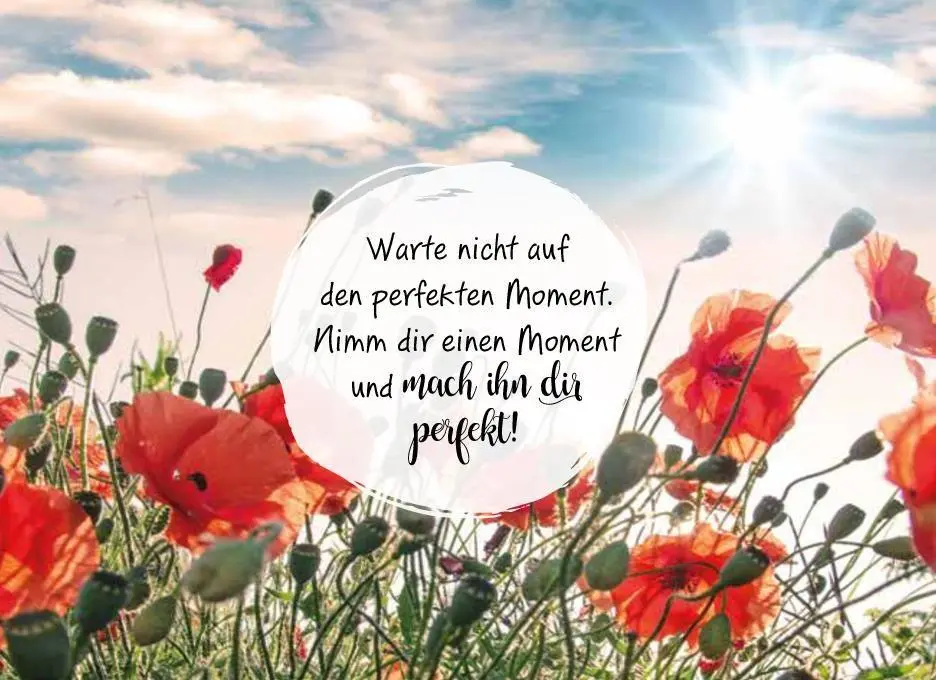 Bild: 9783625199281 | Herzenswünsche für dich | Buch | 64 S. | Deutsch | 2026