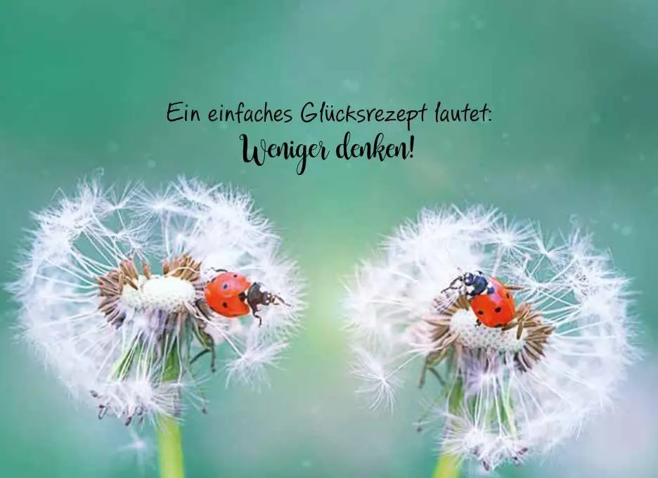 Bild: 9783625199281 | Herzenswünsche für dich | Buch | 64 S. | Deutsch | 2026