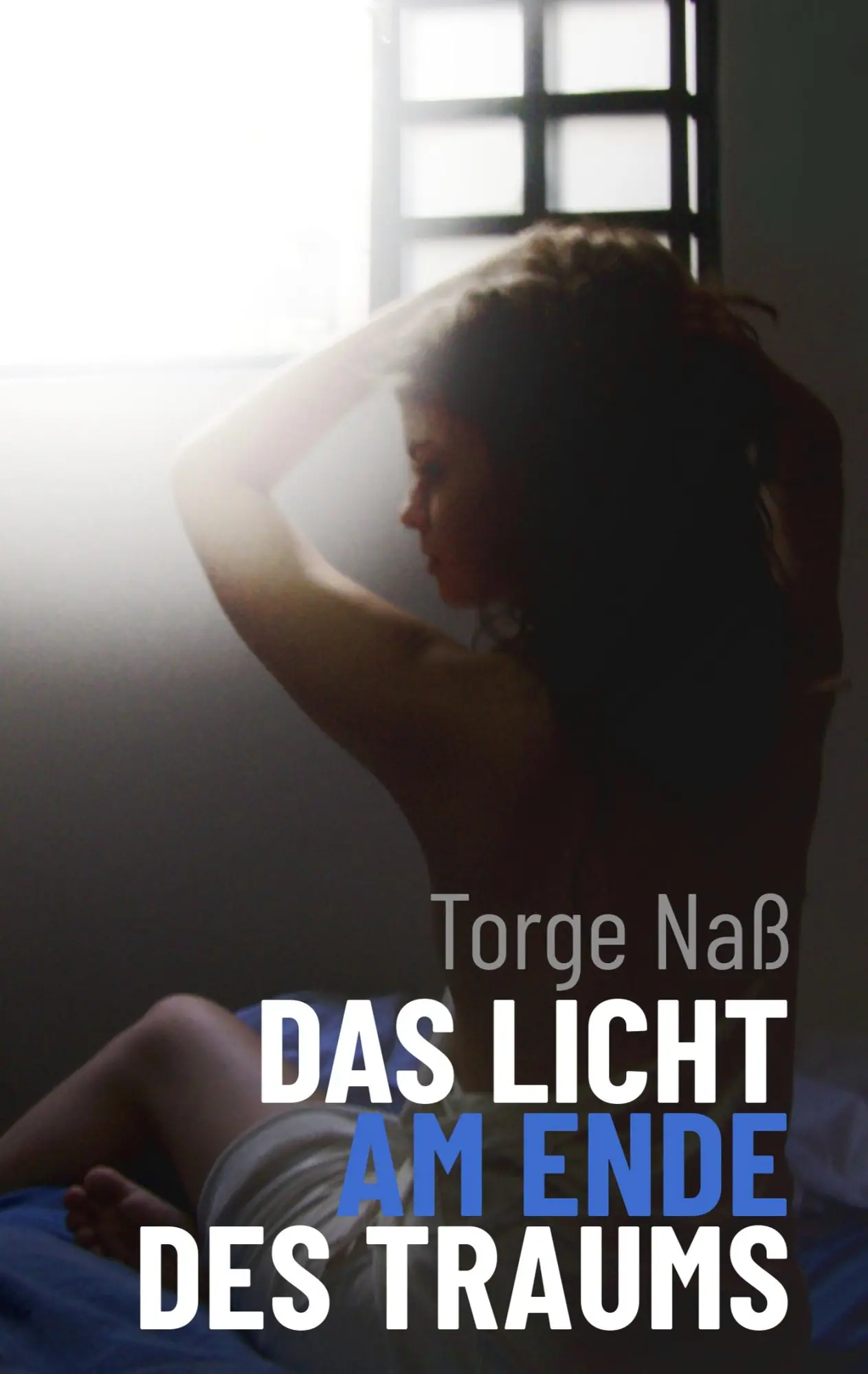 Cover: 9783746049281 | Das Licht am Ende des Traums | Torge Naß | Taschenbuch | 132 S. | 2017