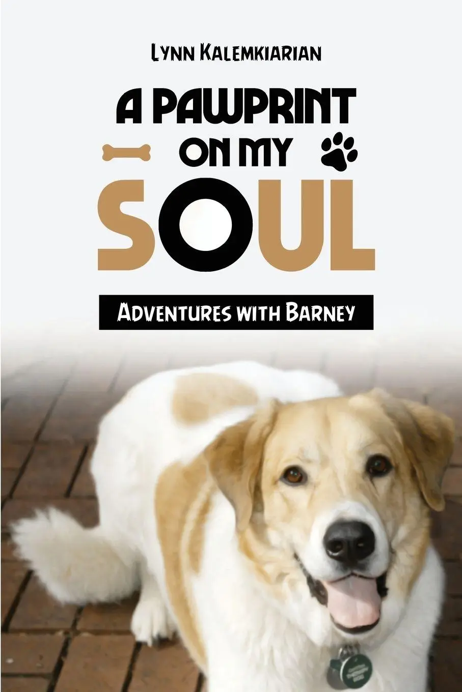 Cover: 9781968619381 | A Pawprint on My Soul | Adventures with Barney | Lynn Kalemkiarian