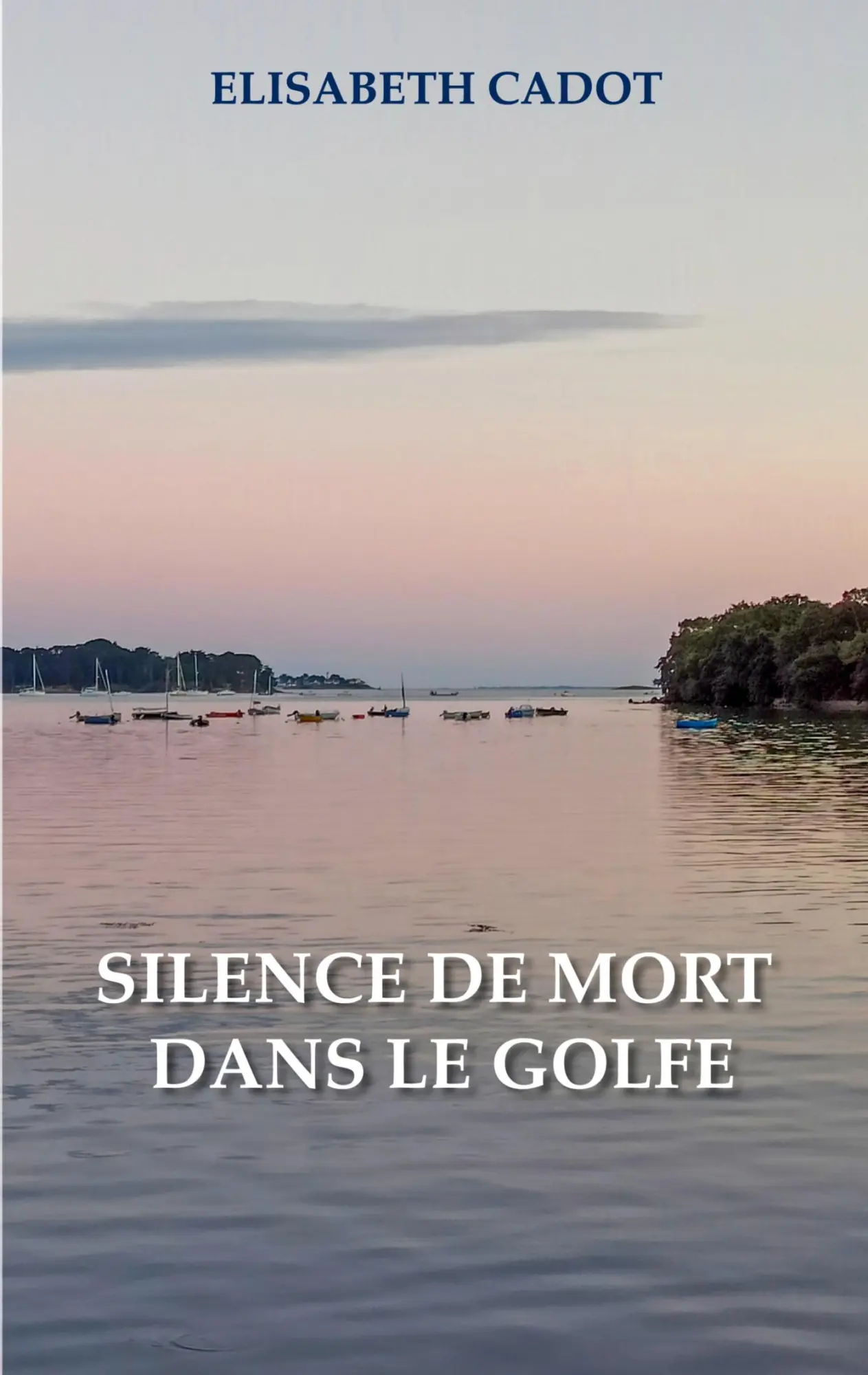 Cover: 9782810629381 | Silence de mort dans le Golfe | Elisabeth Cadot | Taschenbuch | 2025