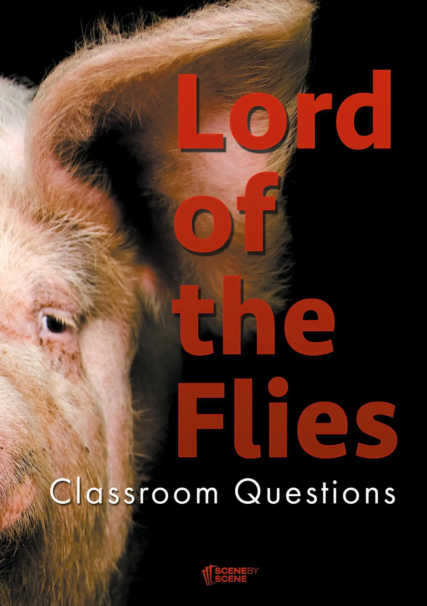 Cover: 9781910949481 | Lord of the Flies Classroom Questions | Amy Farrell | Taschenbuch