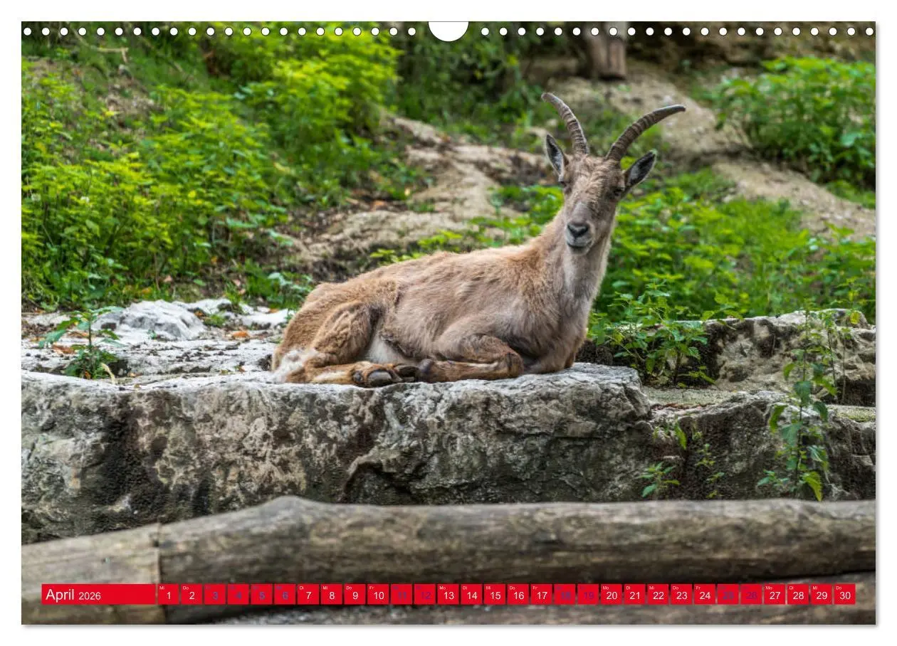 Bild: 9783457879481 | Hallstatt Impressionen (Wandkalender 2026 DIN A3 quer), CALVENDO...