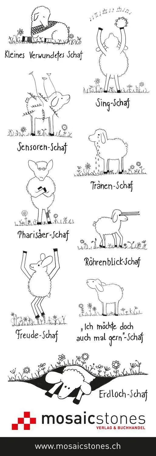 Bild: 9783906959481 | Kennst du deine Schafe? | Elisabeth Merz | Taschenbuch | Buch | 2021