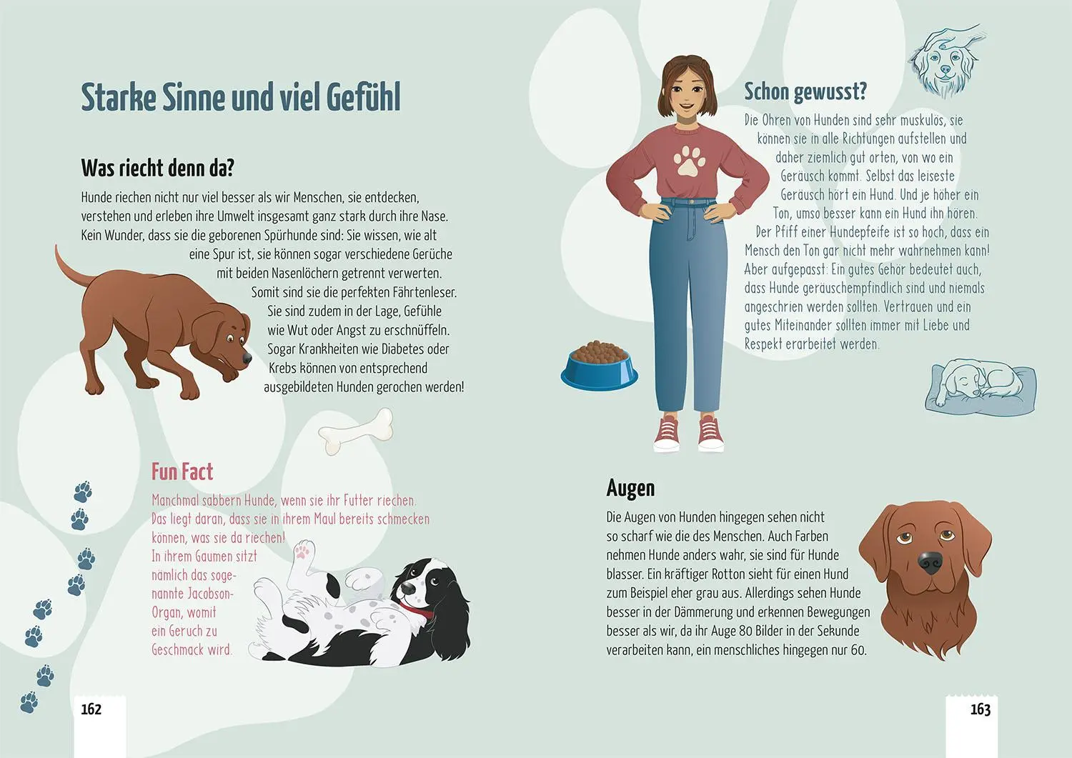 Bild: 9783440179581 | Die drei !!!, Gefahr in der Hundeschule | Miriam Mann | Taschenbuch