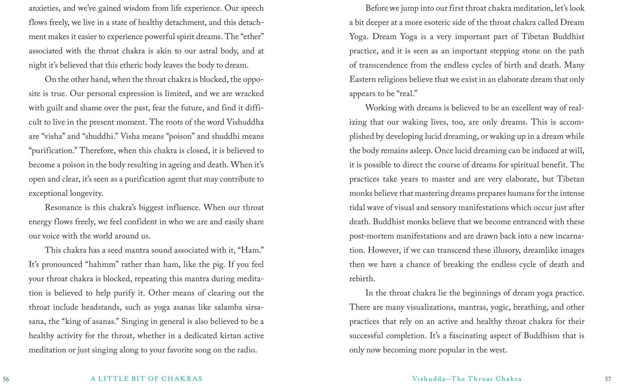 Bild: 9781454919681 | A Little Bit of Chakras | An Introduction to Energy Healing | Buch