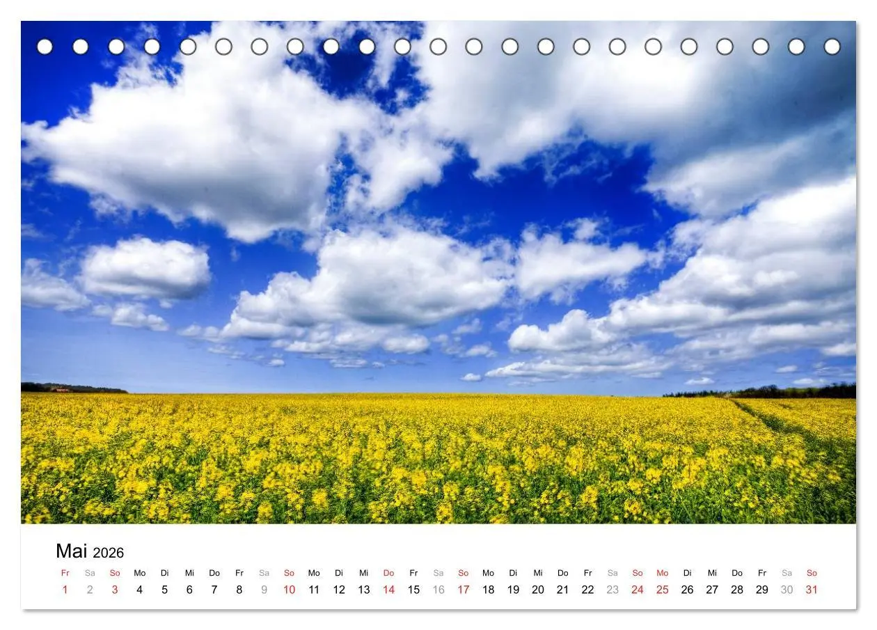 Bild: 9783516189681 | Rügen (Tischkalender 2026 DIN A5 quer), CALVENDO Monatskalender | 2026
