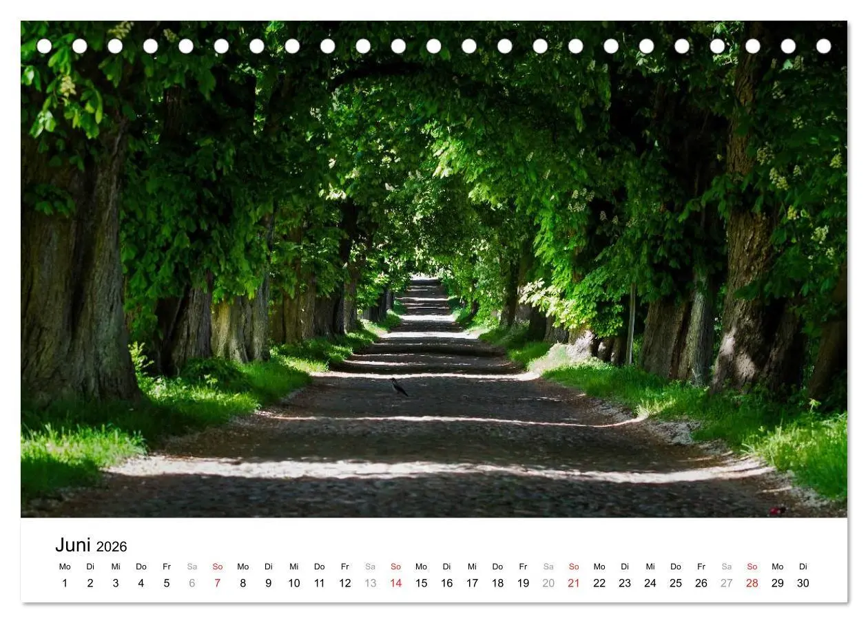 Bild: 9783516189681 | Rügen (Tischkalender 2026 DIN A5 quer), CALVENDO Monatskalender | 2026