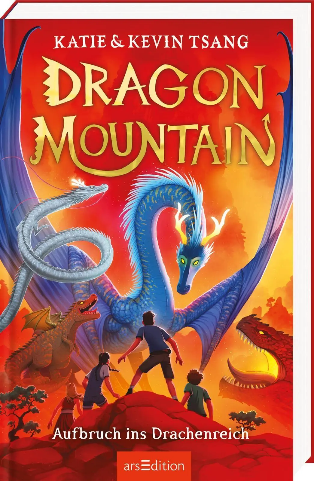 Cover: 9783845869681 | Dragon Mountain - Aufbruch ins Drachenreich (Dragon Mountain 1) | Buch