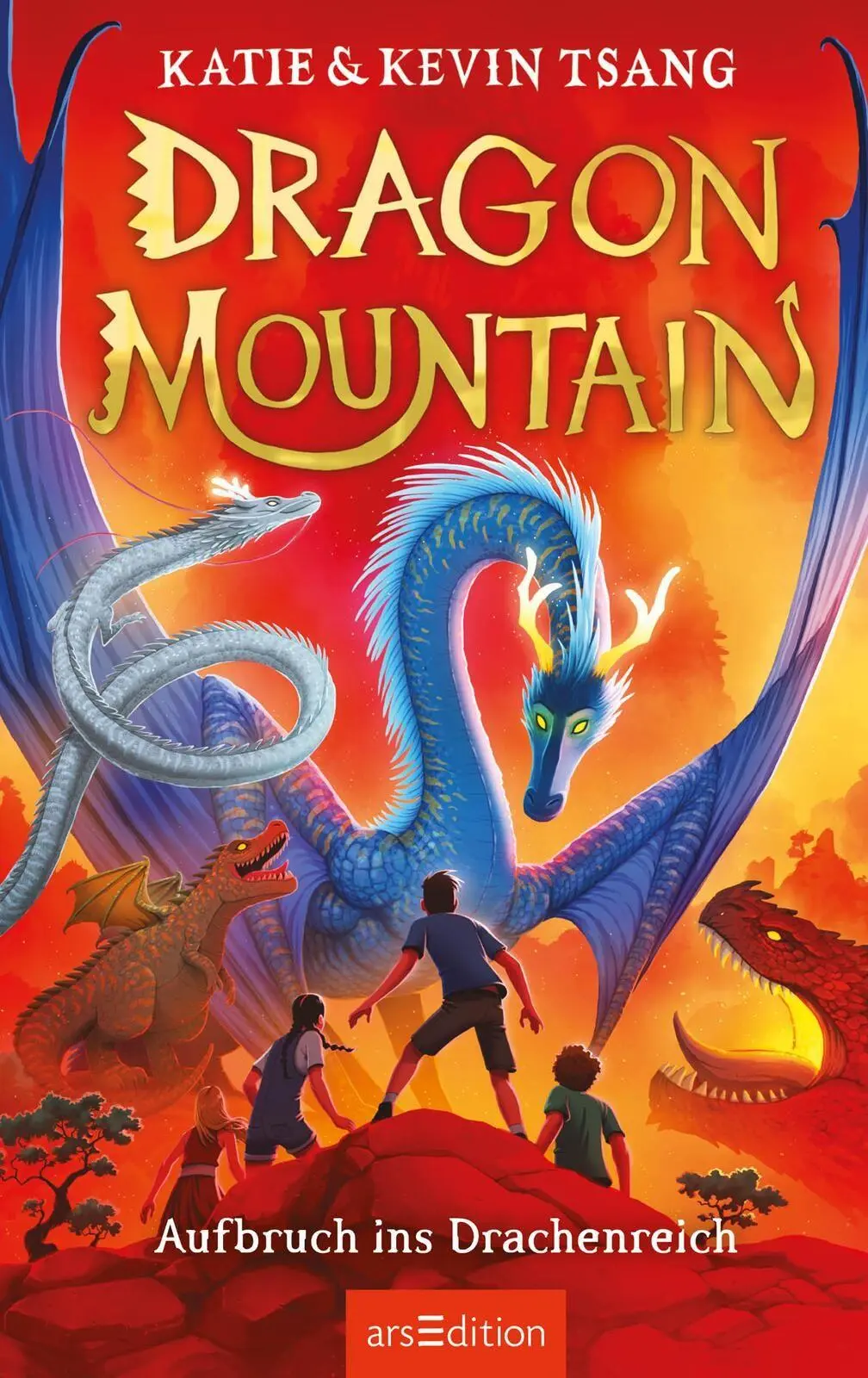 Bild: 9783845869681 | Dragon Mountain - Aufbruch ins Drachenreich (Dragon Mountain 1) | Buch