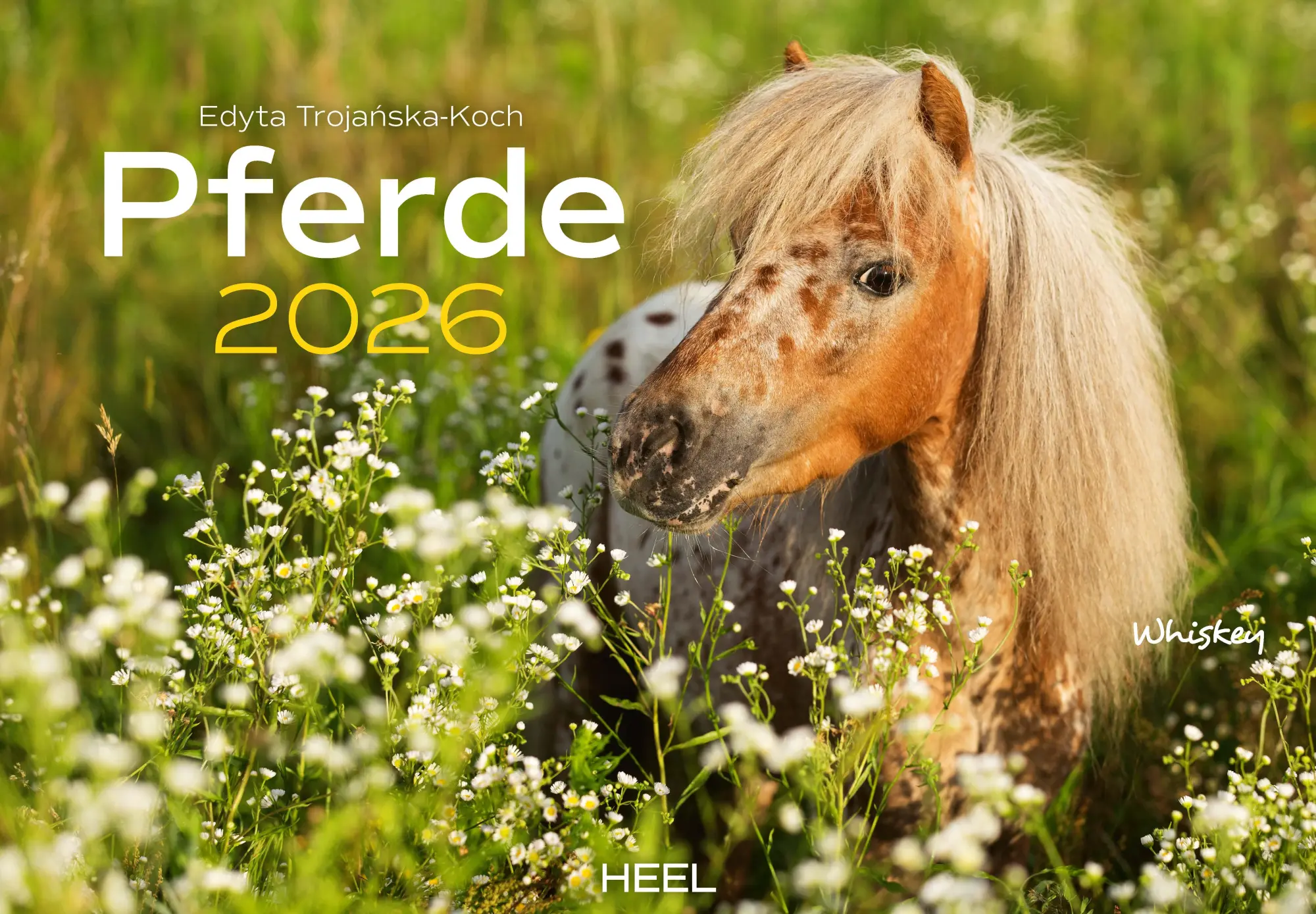 Cover: 9783966649681 | Pferde Kalender 2026 Wandkalender | Kalender | 14 S. | Deutsch | 2026