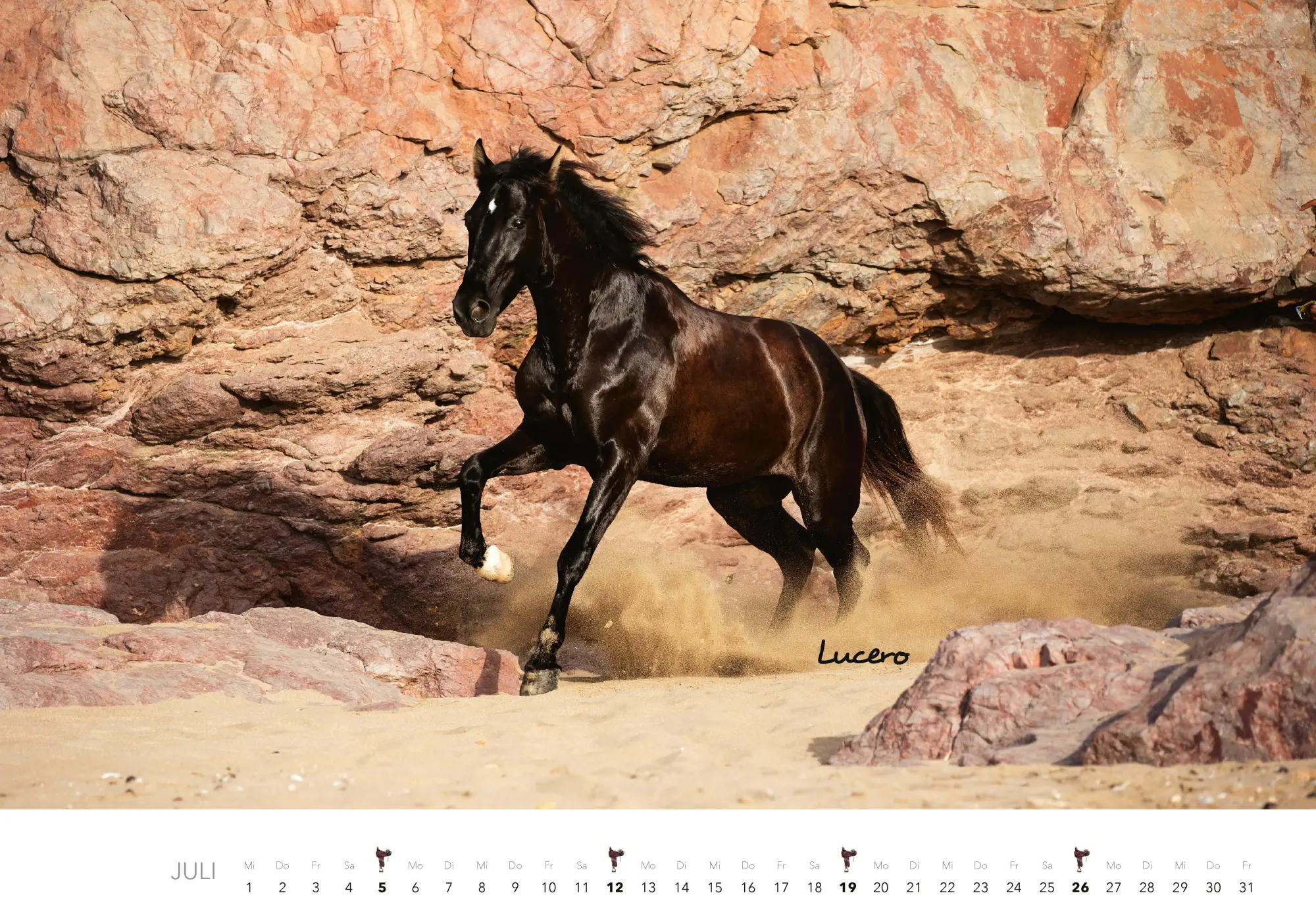 Bild: 9783966649681 | Pferde Kalender 2026 Wandkalender | Kalender | 14 S. | Deutsch | 2026