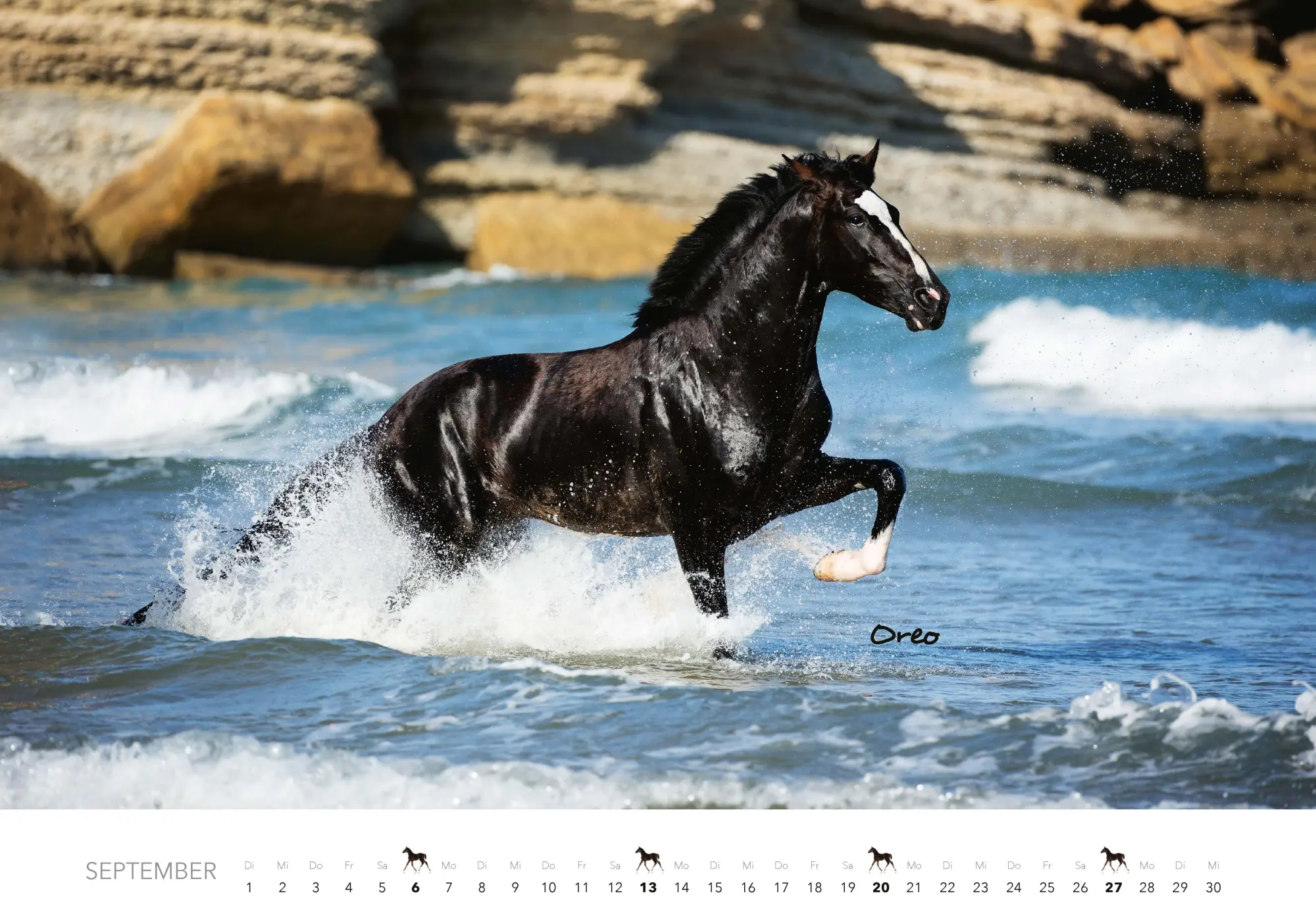 Bild: 9783966649681 | Pferde Kalender 2026 Wandkalender | Kalender | 14 S. | Deutsch | 2026