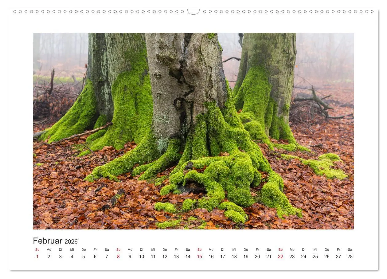 Bild: 9783457769881 | Kasseler Landschaften (hochwertiger Premium Wandkalender 2026 DIN...