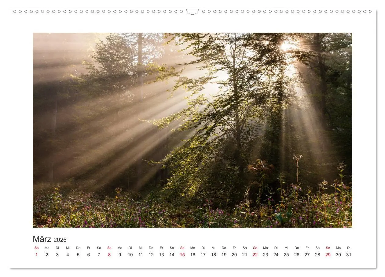 Bild: 9783457769881 | Kasseler Landschaften (hochwertiger Premium Wandkalender 2026 DIN...