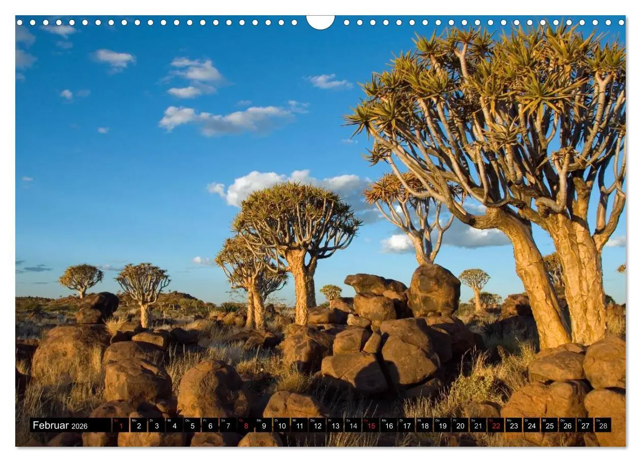 Bild: 9783516239881 | Faszination Namibia (Wandkalender 2026 DIN A3 quer), CALVENDO...