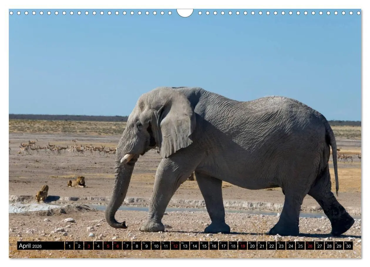 Bild: 9783516239881 | Faszination Namibia (Wandkalender 2026 DIN A3 quer), CALVENDO...