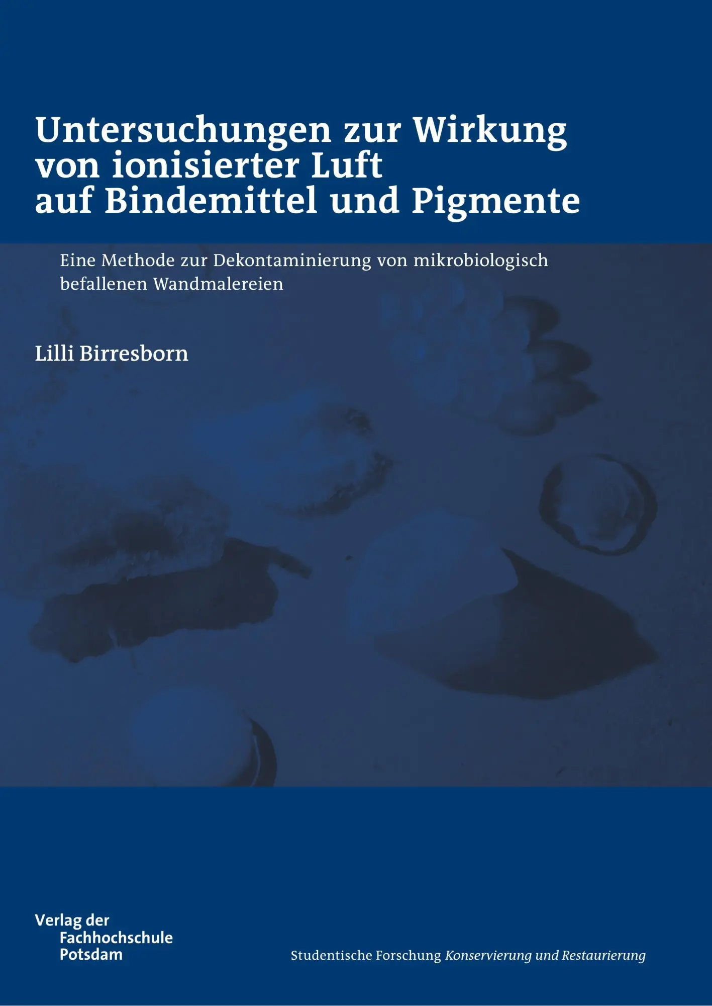 Cover: 9783934329881 | Untersuchungen zur Wirkung von ionisierter Luft auf Bindemittel und...