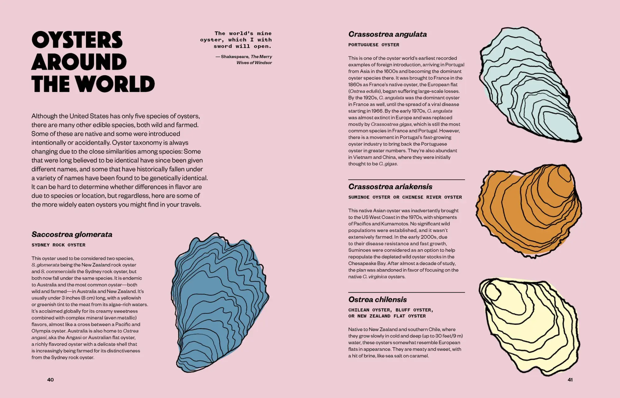 Bild: 9781579659981 | The Joy of Oysters | Nils Bernstein | Buch | Gebunden | Englisch