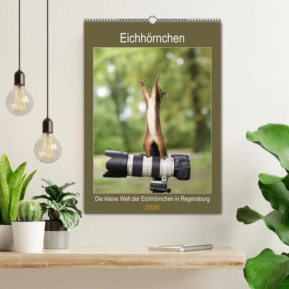 Bild: 9783516399981 | Die kleine Welt der Eichhörnchen in Regensburg (Wandkalender 2026...