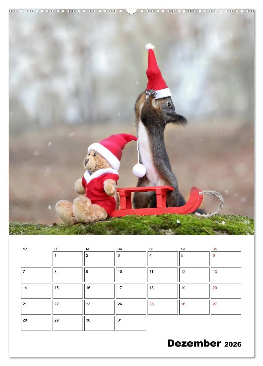 Bild: 9783516399981 | Die kleine Welt der Eichhörnchen in Regensburg (Wandkalender 2026...