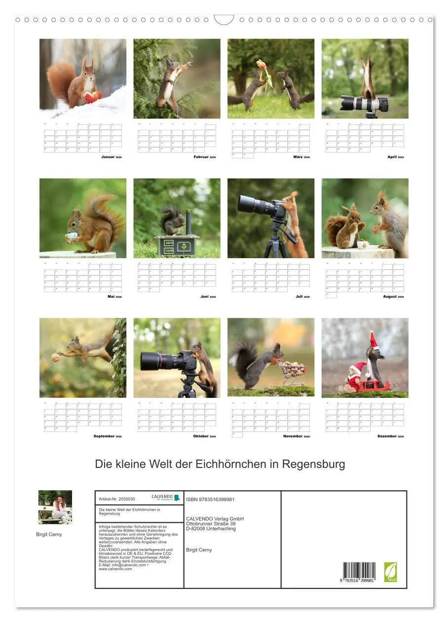 Bild: 9783516399981 | Die kleine Welt der Eichhörnchen in Regensburg (Wandkalender 2026...