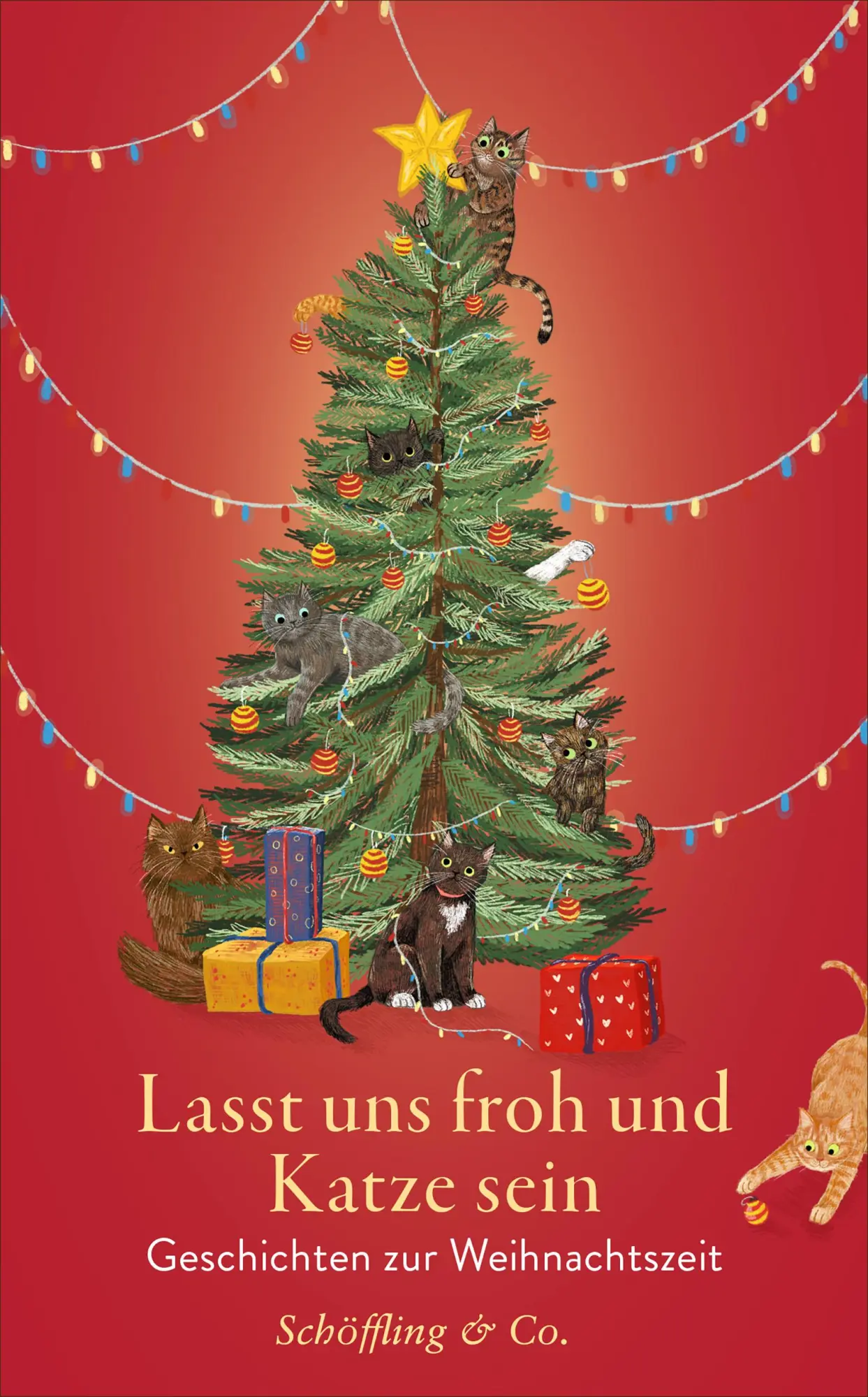 Cover: 9783690970082 | Lasst uns froh und Katze sein | Julia Bachstein | Buch | 192 S. | 2025