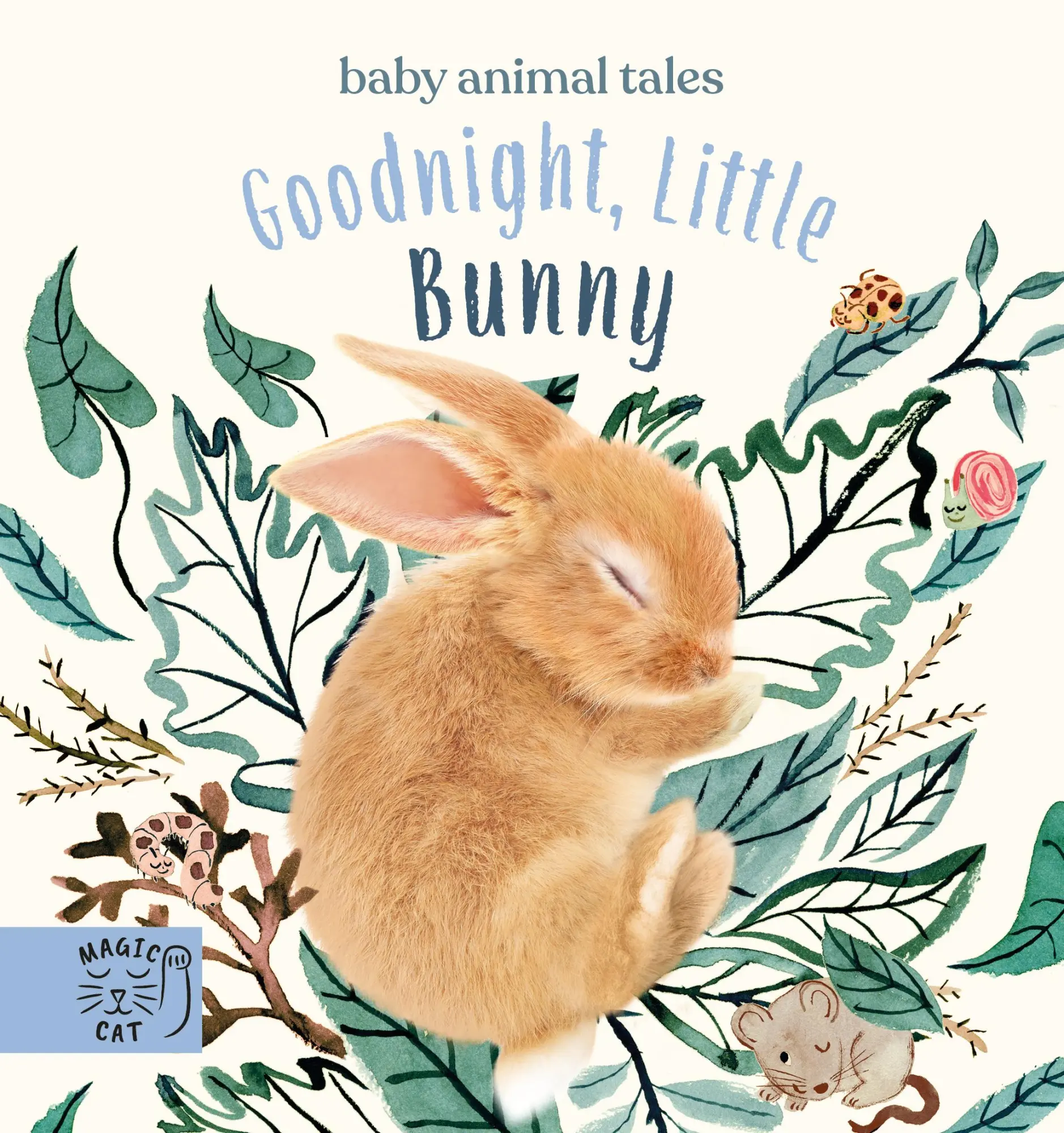 Cover: 9781913520182 | Goodnight, Little Bunny | A book about being brave | Amanda Wood