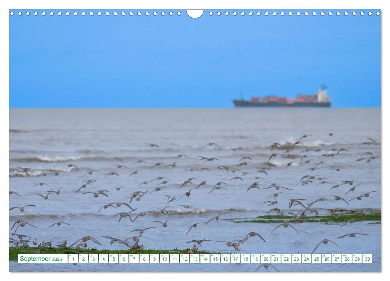 Bild: 9783457480182 | Schillig und Horumersiel - Im Wangerland unterwegs (Wandkalender...