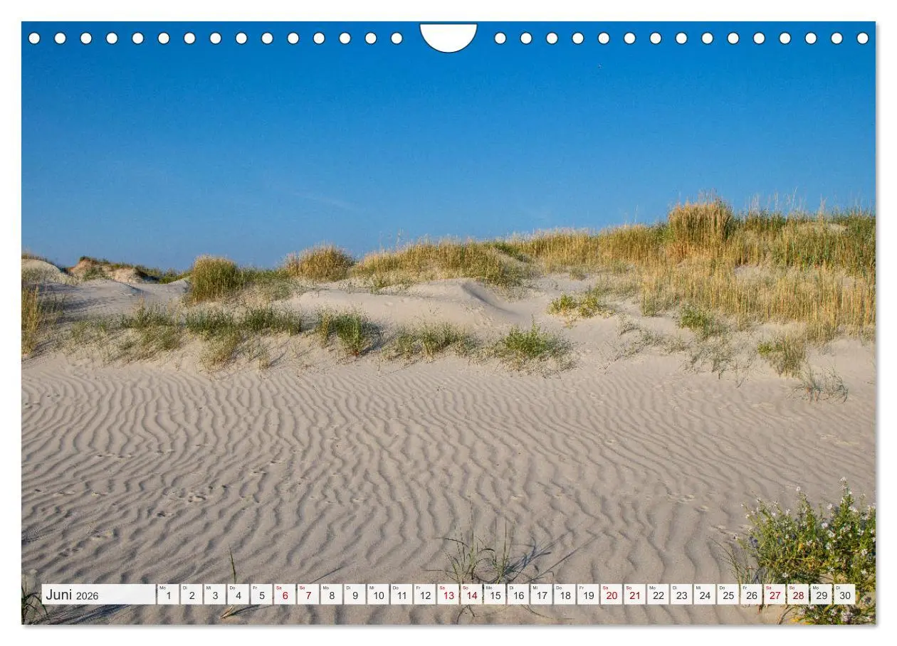 Bild: 9783457620182 | Urlaub in Nordfriesland (Wandkalender 2026 DIN A4 quer), CALVENDO...
