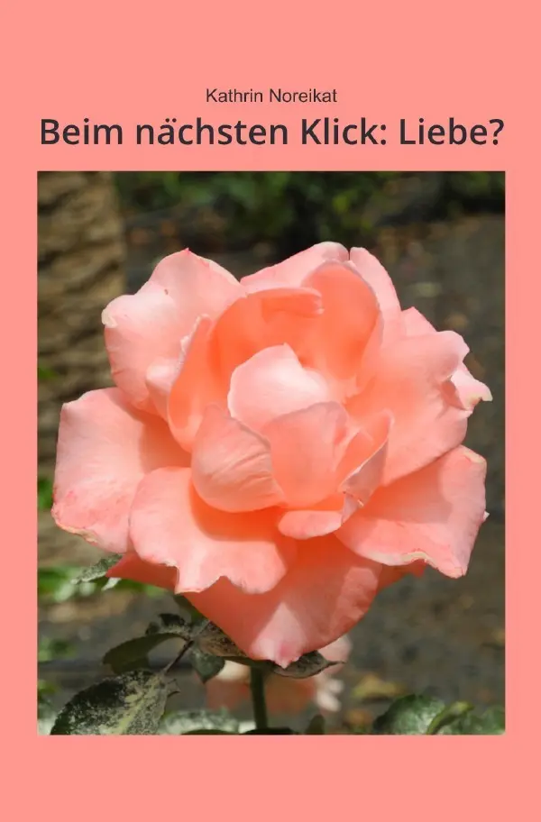 Cover: 9783748540182 | Beim nächsten Klick: Liebe? | Kathrin Noreikat | Taschenbuch | 152 S.