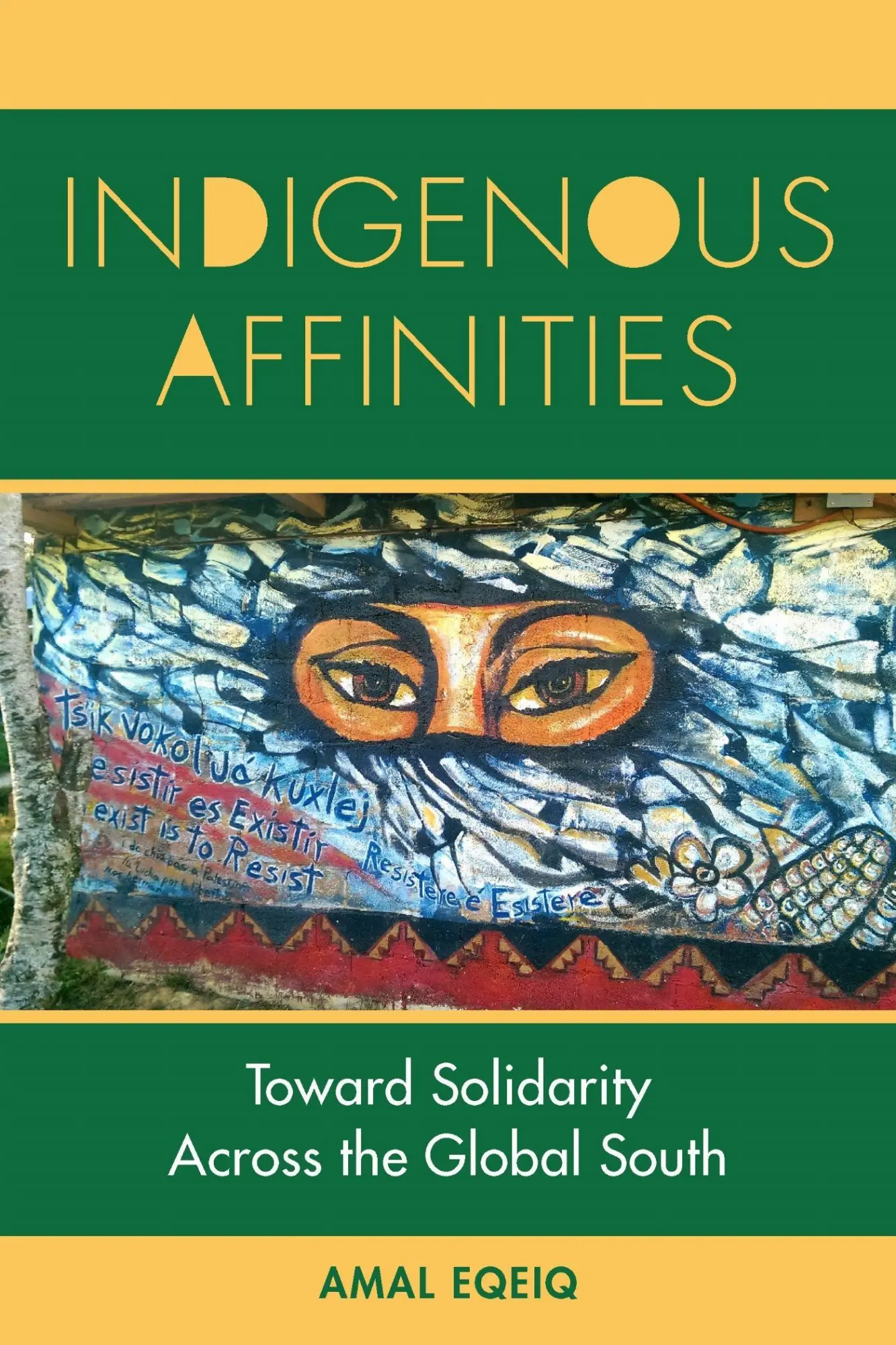 Cover: 9781531510282 | Indigenous Affinities | Toward Solidarity Across the Global South