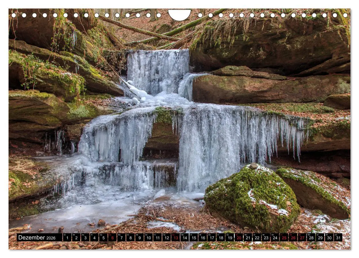 Bild: 9783457920282 | In und um Pirmasens (Wandkalender 2026 DIN A4 quer), CALVENDO...