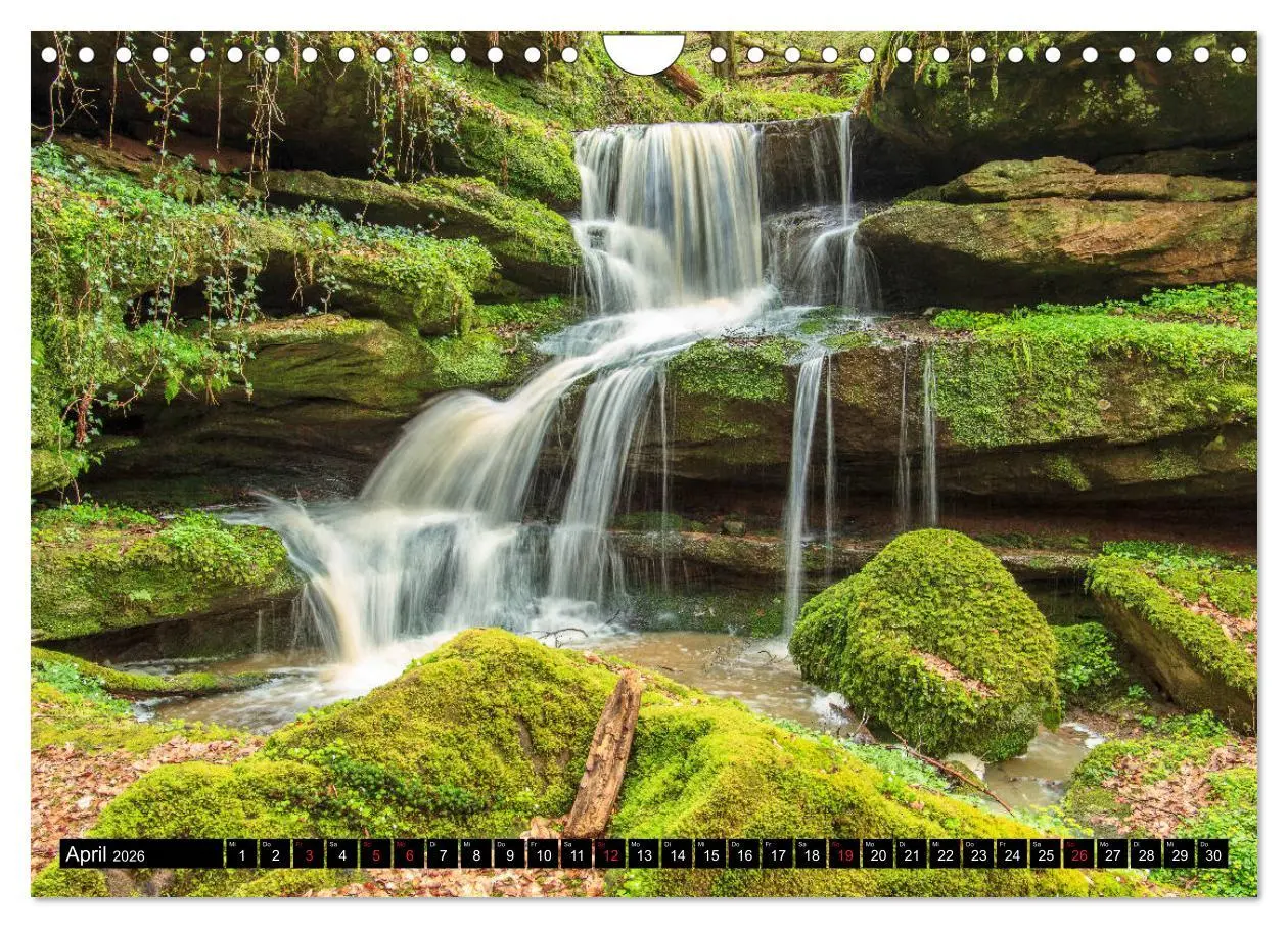 Bild: 9783457920282 | In und um Pirmasens (Wandkalender 2026 DIN A4 quer), CALVENDO...