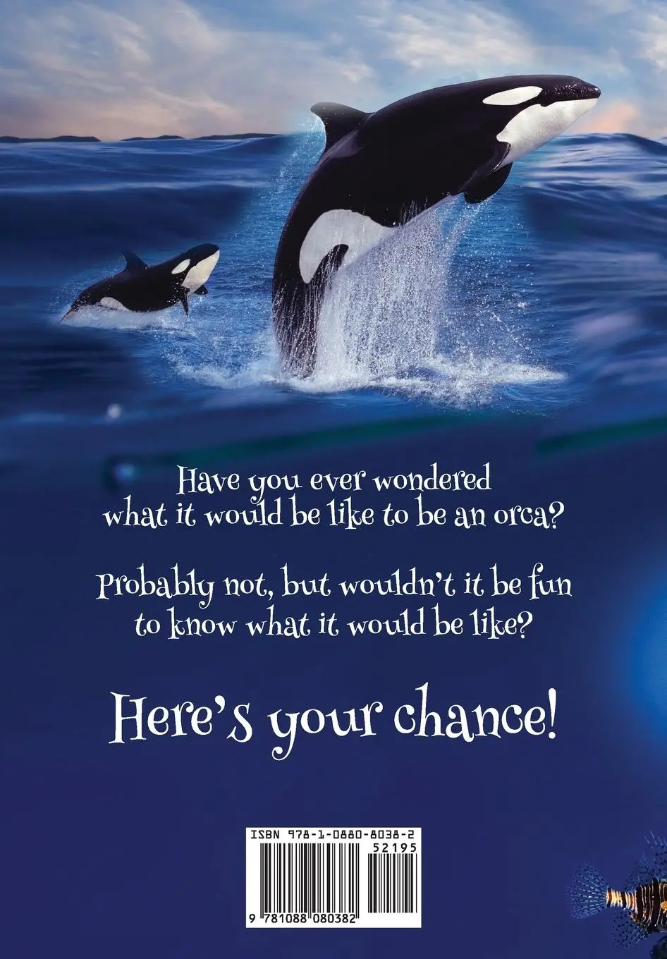 Rückseite: 9781088080382 | ORCAS - Beautiful, Intelligent, Talkative, Ferocious, Fascinating