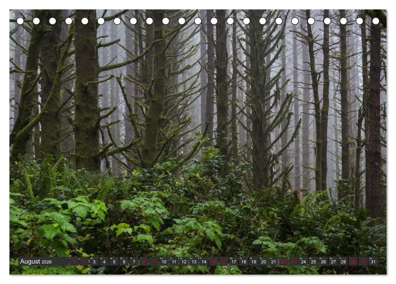 Bild: 9783457840382 | Traumziel Oregon (Tischkalender 2026 DIN A5 quer), CALVENDO...