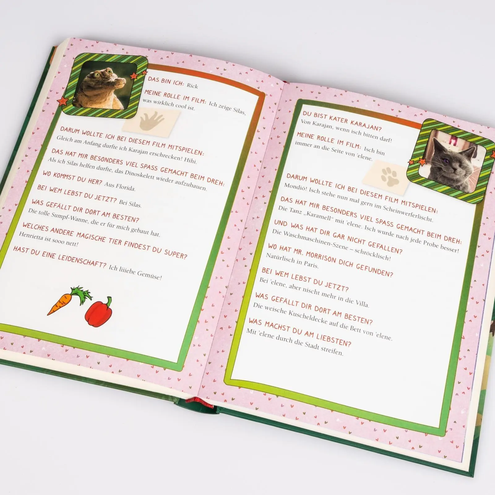 Bild: 9783551650382 | Die Schule der magischen Tiere 3: Das Buch zum Film | Margit Auer