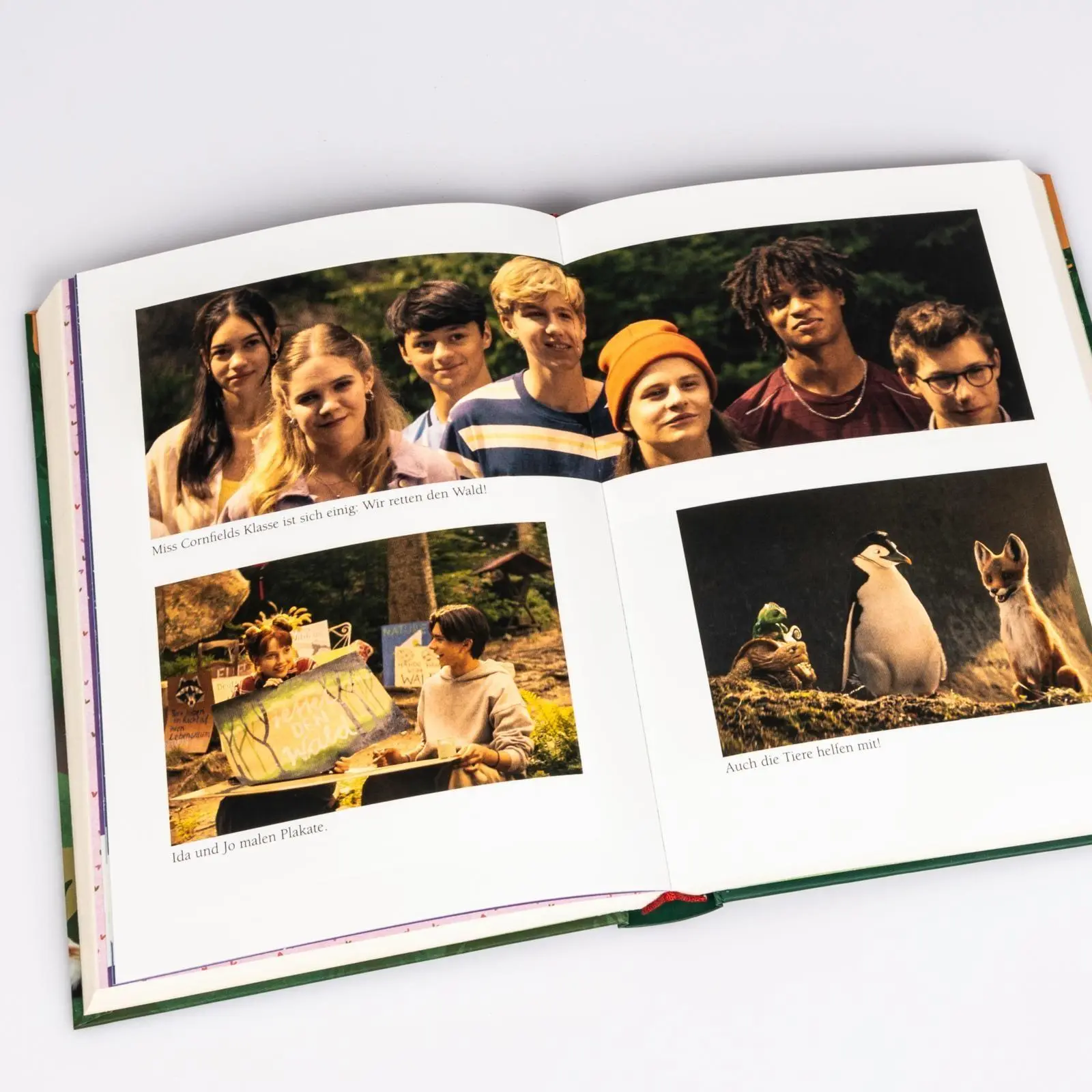 Bild: 9783551650382 | Die Schule der magischen Tiere 3: Das Buch zum Film | Margit Auer